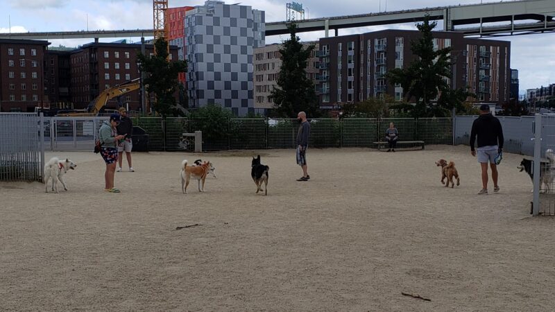 Fenced Off-Leash Dog Area - Portland, OR