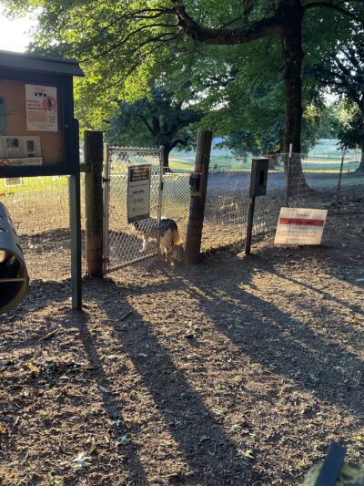 Fenced Off-Leash Dog Park - Portland, OR