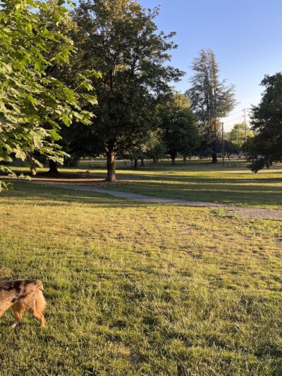 Fenced Off-Leash Dog Park - Portland, OR