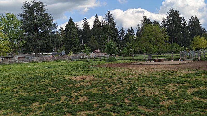 Fenced Off-Leash Dog Park - Portland, OR
