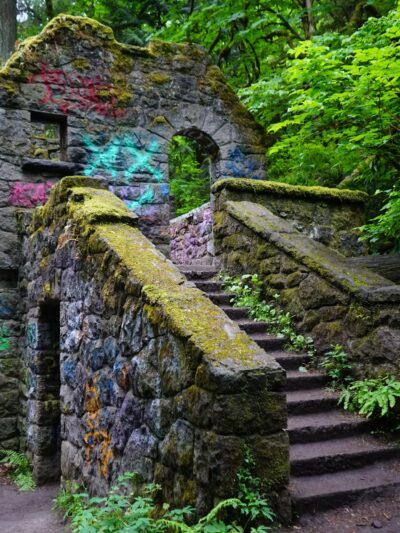 Forest Park - Portland, OR