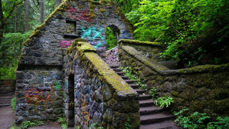 Forest Park - Portland, OR