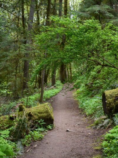 Forest Park - Portland, OR