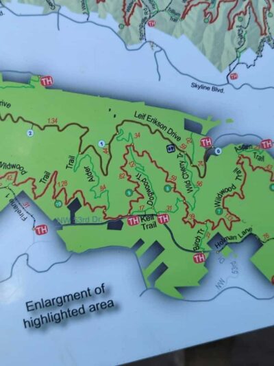 Forest Park - Portland, OR