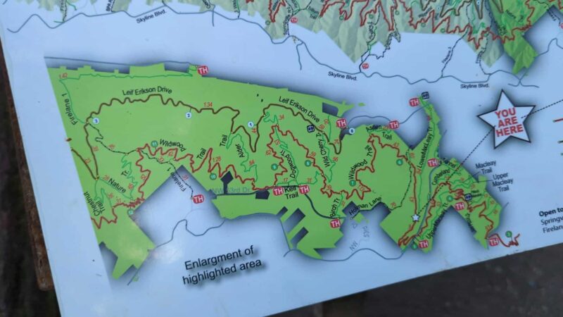 Forest Park - Portland, OR