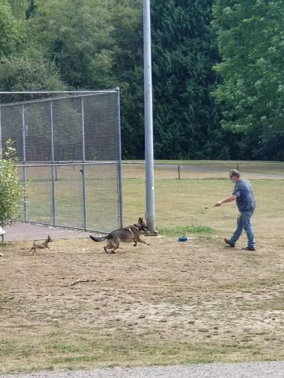 Gabriel Off-Leash Dog Park - Portland, OR