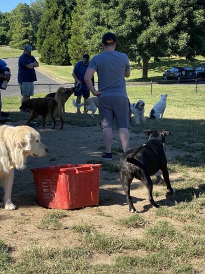 Gabriel Off-Leash Dog Park - Portland, OR