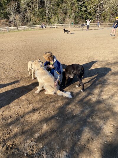 Gabriel Off-Leash Dog Park Winter - Portland, OR