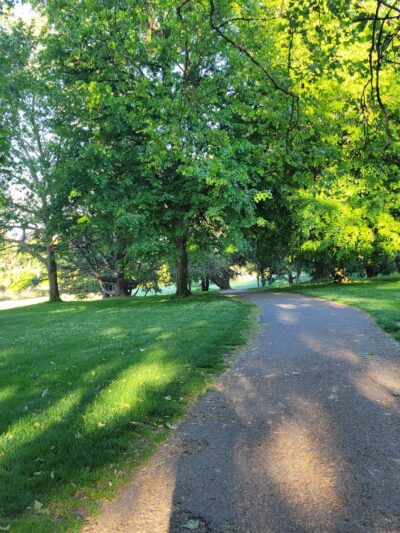 Gabriel Off-Leash Dog Park Winter - Portland, OR