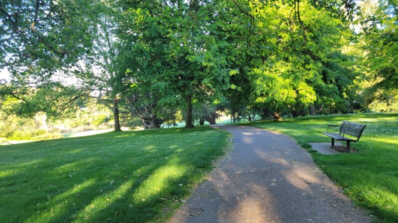 Gabriel Off-Leash Dog Park Winter - Portland, OR
