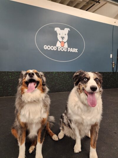 Good Dog Park - Portland, OR
