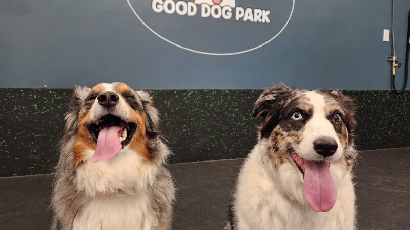 Good Dog Park - Portland, OR