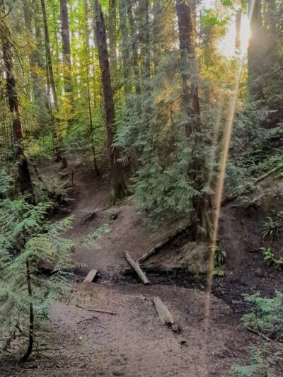 Hillsdale Off-Leash Dog Area - Portland, OR