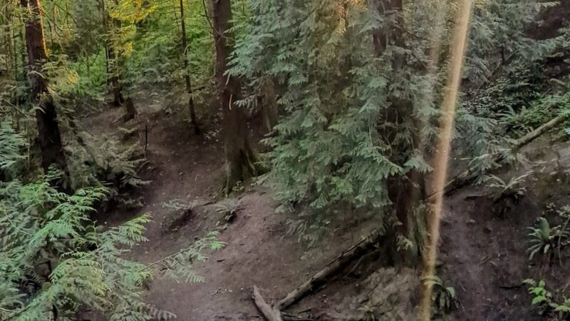 Hillsdale Off-Leash Dog Area - Portland, OR