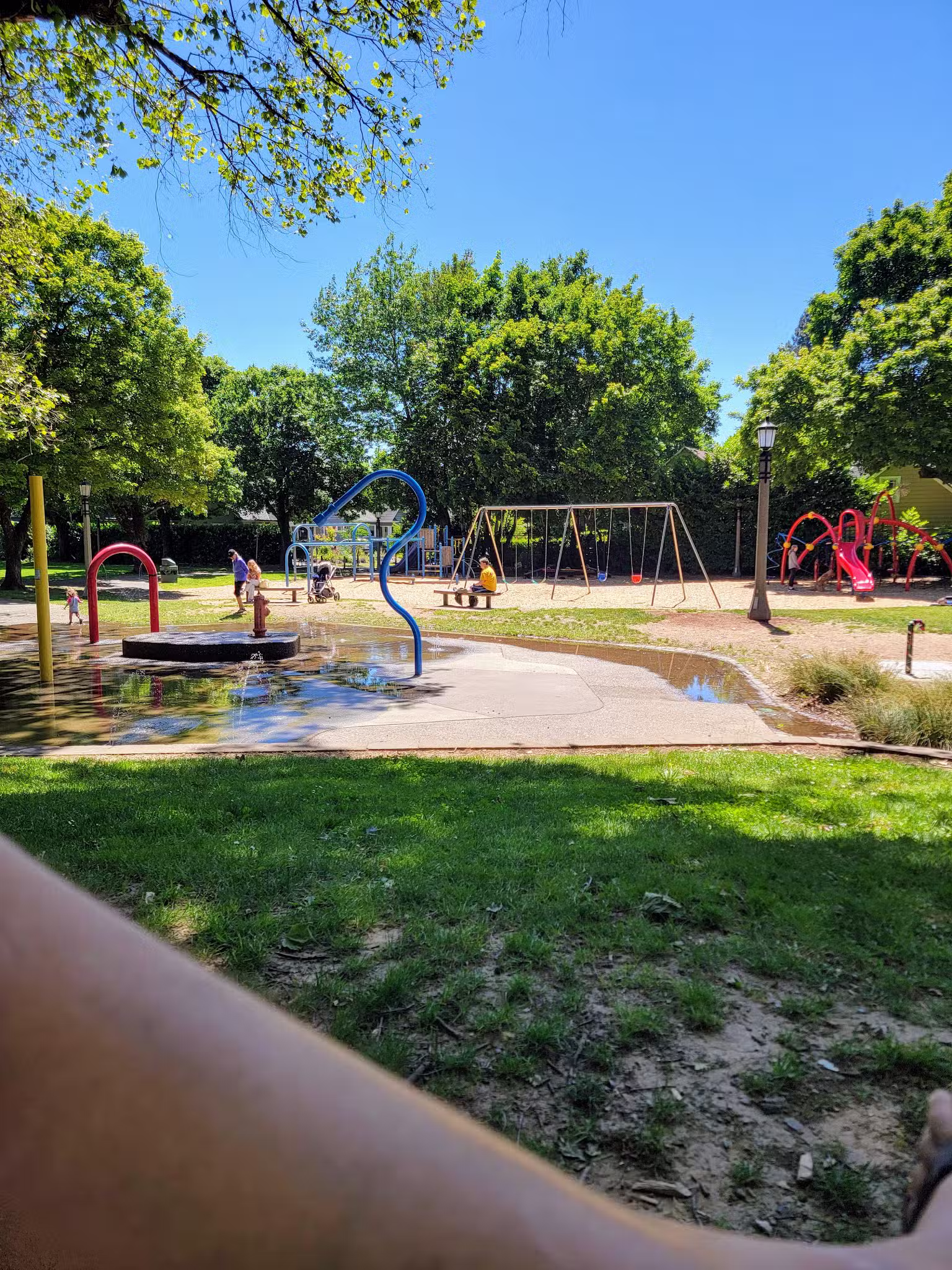 Irving Park Dog Park - Portland, OR