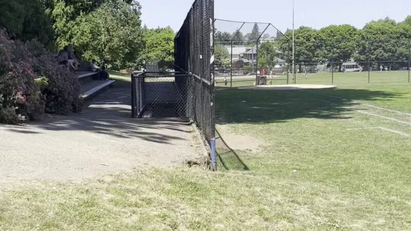 Irving Park Dog Park - Portland, OR