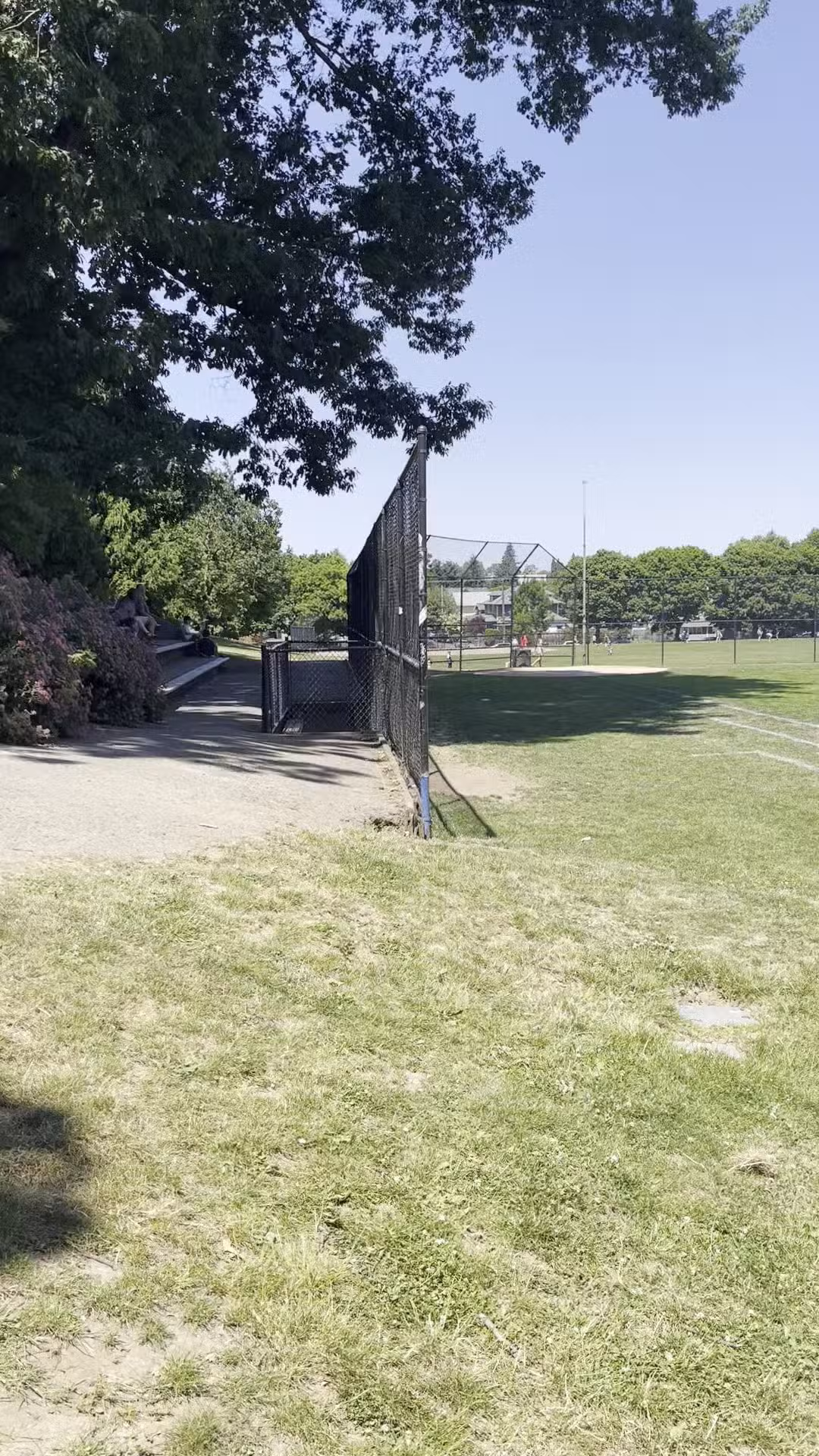 Irving Park Dog Park - Portland, OR