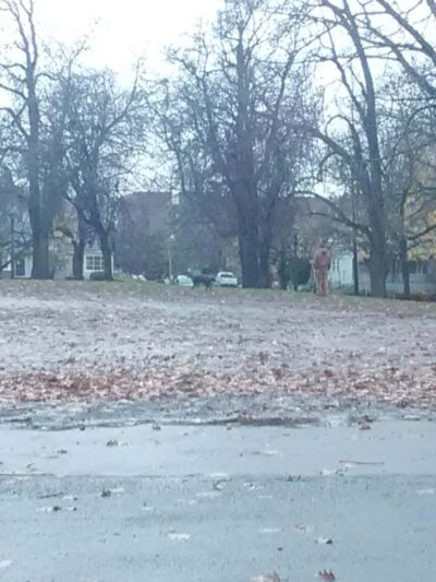 Irving Park Dog Park - Portland, OR