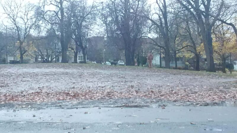 Irving Park Dog Park - Portland, OR
