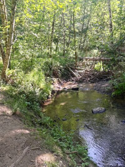 Jackie Husen Park - Portland, OR