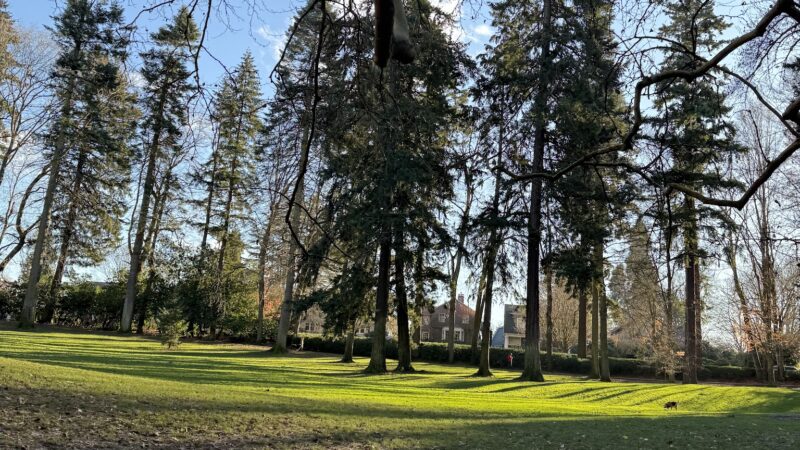 Laurelhurst Off-Leash Dog Area - Portland, OR