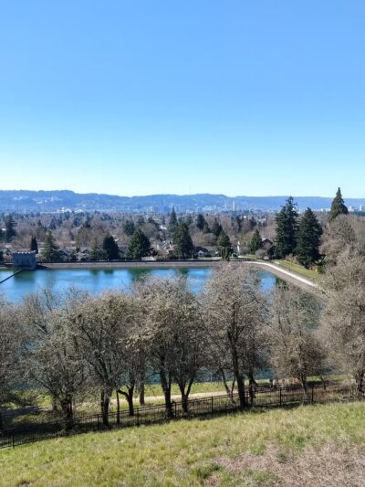 Mt Tabor Park Off-Leash Dog Area - Portland, OR