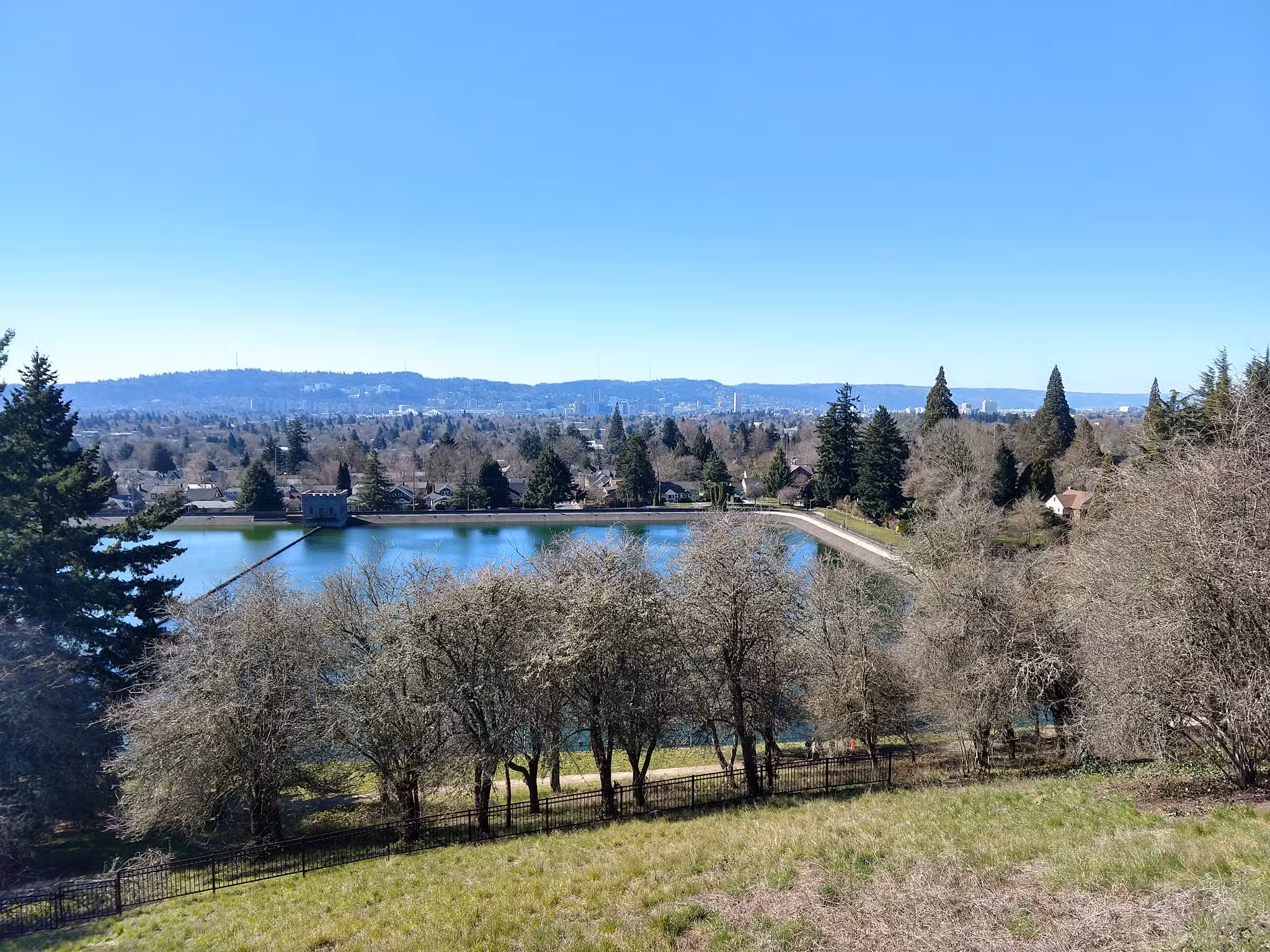 Mt Tabor Park Off-Leash Dog Area - Portland, OR
