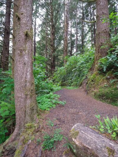 Mt Tabor Park Off-Leash Dog Area - Portland, OR