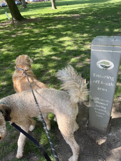 Off-Leash Dog Park - Portland, OR