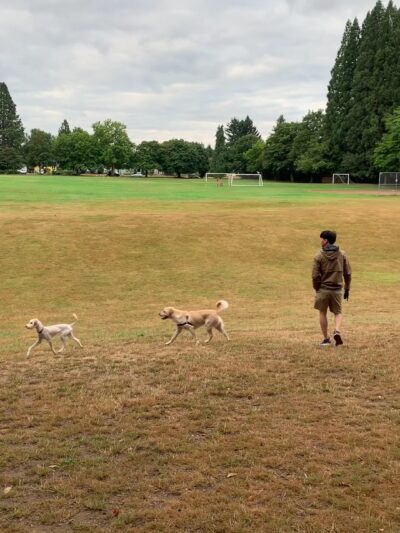 Off-Leash Dog Park - Portland, OR