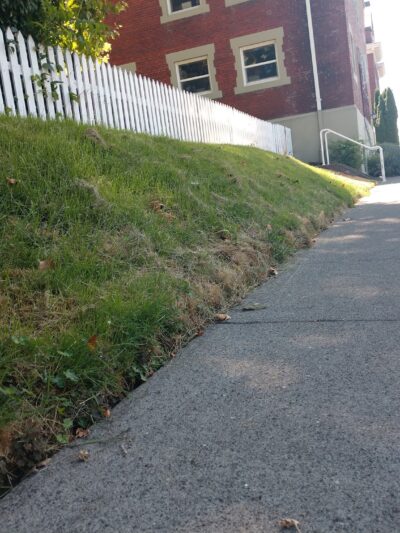 Patton Community Garden - Portland, OR