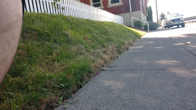 Patton Community Garden - Portland, OR