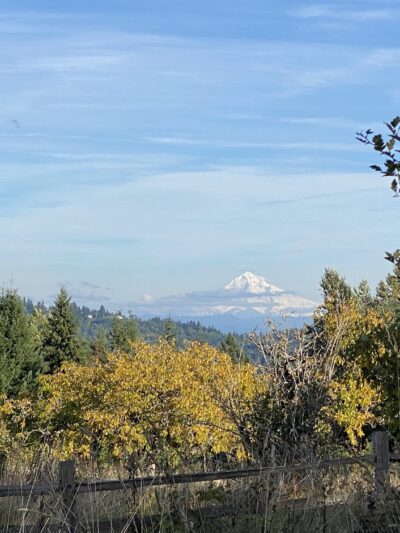 Powell Butte Nature Park - Portland, OR