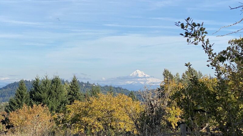 Powell Butte Nature Park - Portland, OR