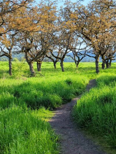 Powell Butte Nature Park - Portland, OR