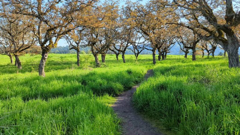 Powell Butte Nature Park - Portland, OR