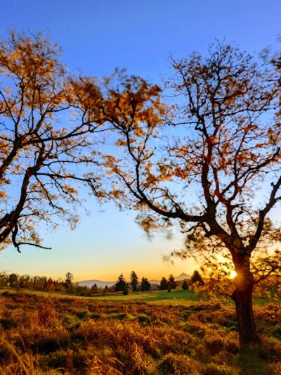 Powell Butte Nature Park - Portland, OR