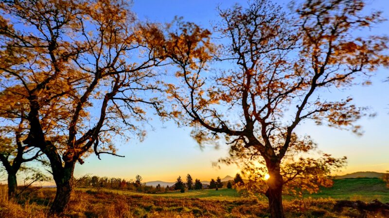 Powell Butte Nature Park - Portland, OR