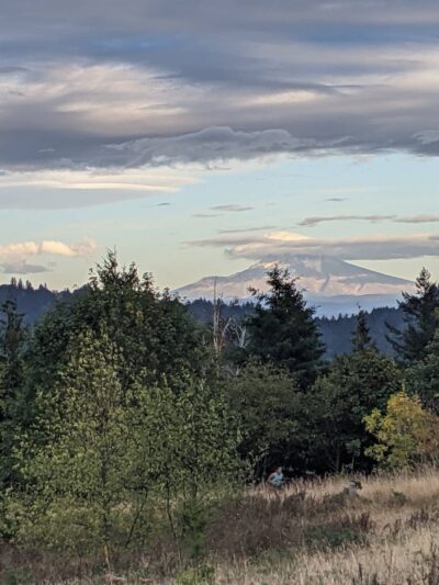 Powell Butte Nature Park - Portland, OR