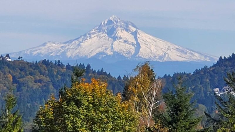 Powell Butte Nature Park - Portland, OR