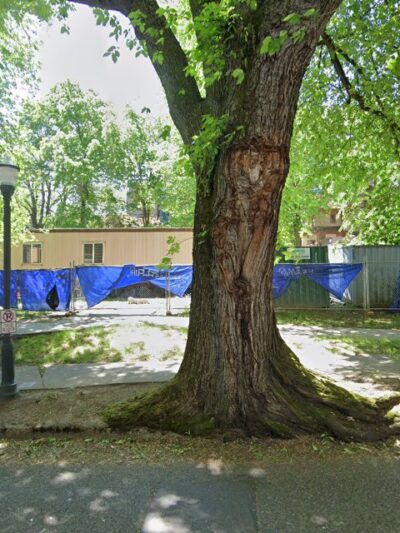 PSU Park - Portland, OR