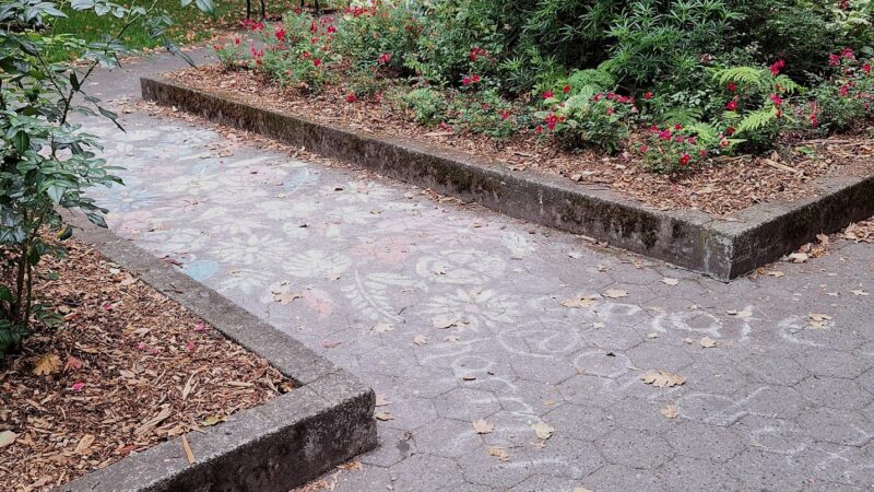 PSU Park - Portland, OR