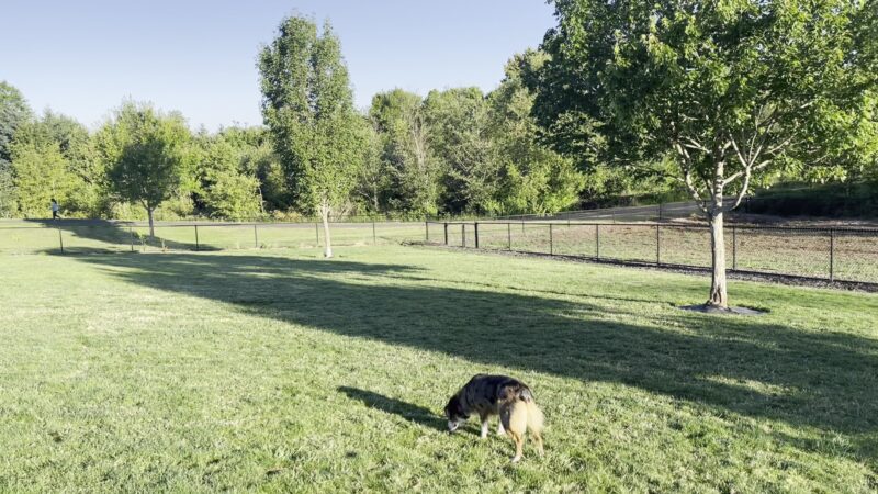 Rock Creek Dog Park - Portland, OR