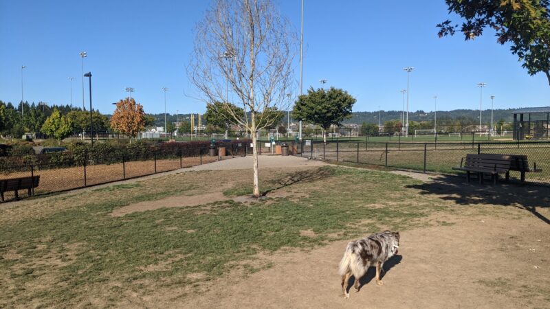 Rock Creek Dog Park - Portland, OR