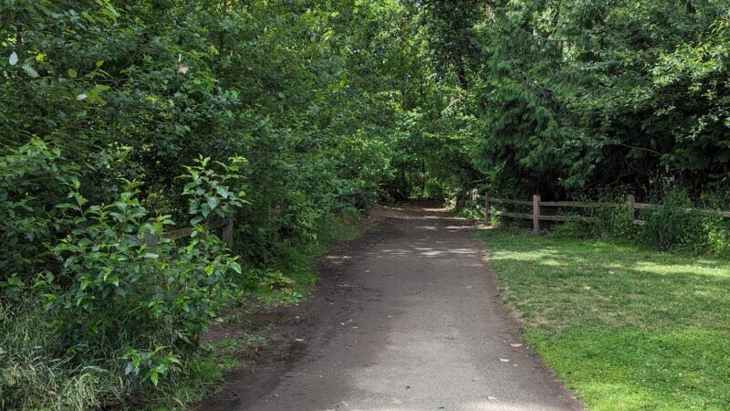 Sellwood Off-Leash Dog Park - Portland, OR