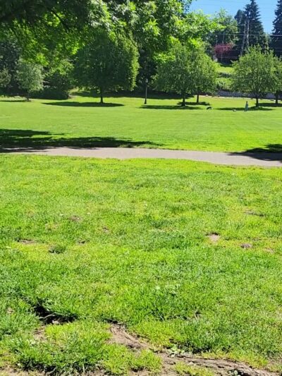 Sellwood Off-Leash Dog Park - Portland, OR