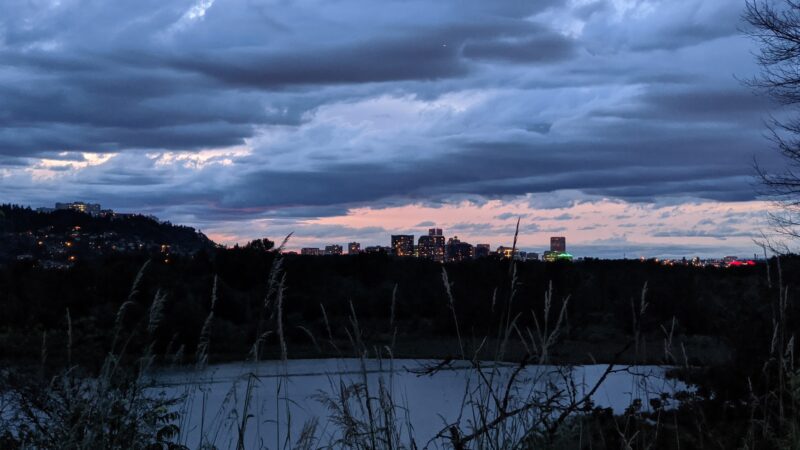 Sellwood Off-Leash Dog Park - Portland, OR
