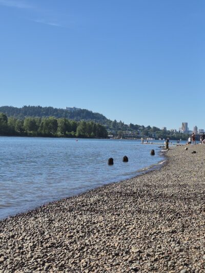 Sellwood Off-Leash Dog Park - Portland, OR