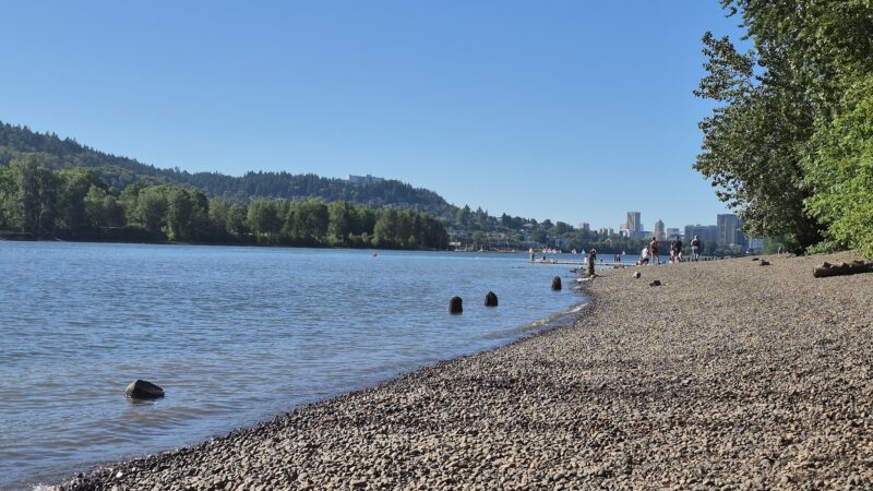 Sellwood Off-Leash Dog Park - Portland, OR