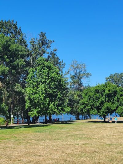 Sellwood Off-Leash Dog Park - Portland, OR